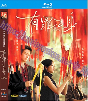 简W7541 有罪之身 (魏大勋2026) 2碟