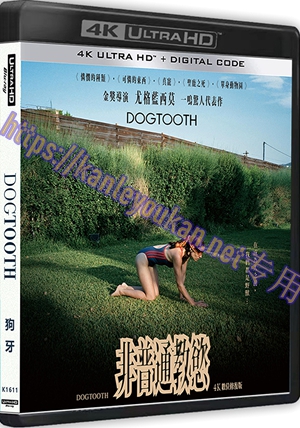 精SS-4K1611 狗牙（4K UHD版）