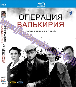 简W3073 女武神行动 2碟