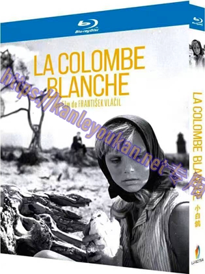 简LJ-8275A 小白鸽【BD】