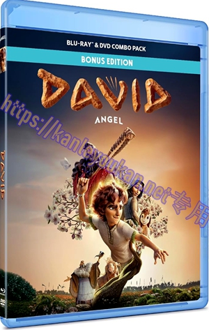 简SJ-6470A 大卫【BD】