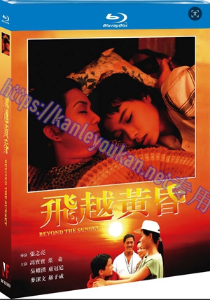 简NF-02890 飞越黄昏
