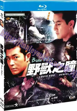 简4GBD25（1126） 野兽之瞳