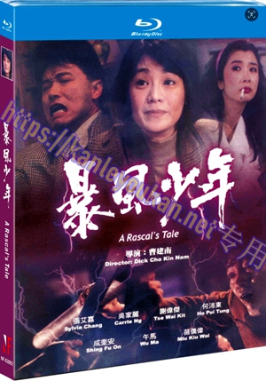 简NF-02882 暴风少年