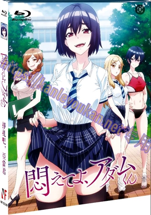 简NF-02389 挣扎吧，亚当君