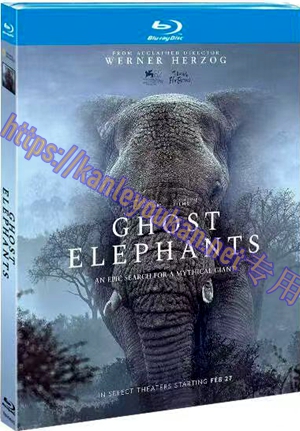 简TM-R4593 追寻幽灵大象