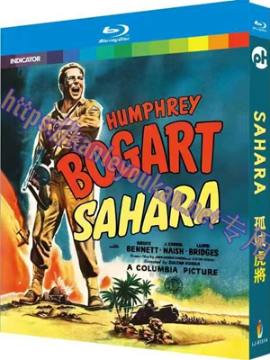 简LJ-8151A 孤城虎将/撒哈拉沙漠狙击战【BD】