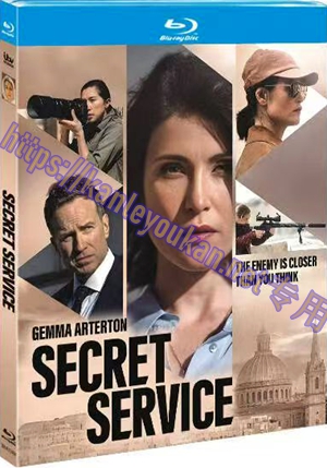简TM-R1745H  特勤局