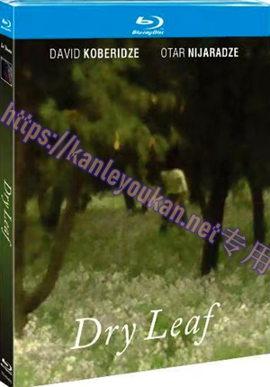 简TM-R4405 落叶球