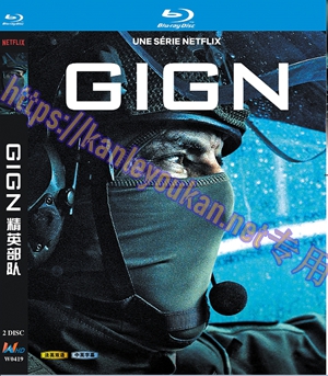简W0419 G.I.G.N：精英部队 2碟