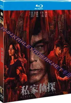 简TM-R4170 私家侦探