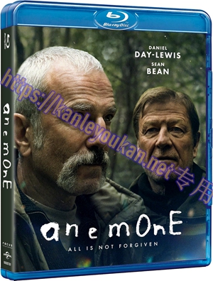 简SJ-17253 银莲花【BD】