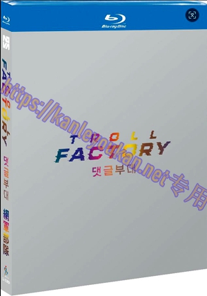 简SJ-12993A 网军部队【BD】