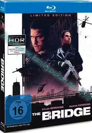 简4GBD252293K 爆裂崩塌