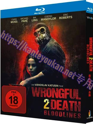 简LJ-8243A 过失致死2：血脉【BD】