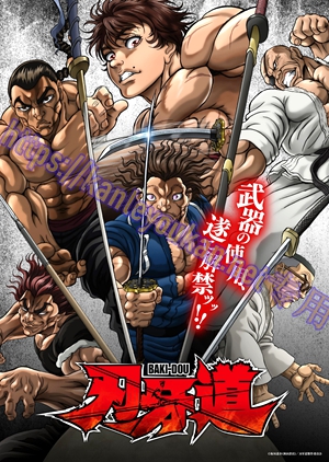 简LG-K6085 刃牙道：无敌武士（2BD）（有精装）