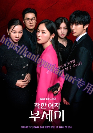 简LG-H5683 善良的女人夫世美（2BD）（有精装）