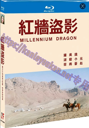 简NF-02844 红墙盗影