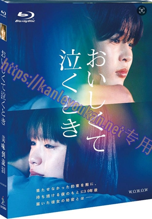 简SJ-12965A 美味到流泪【BD】