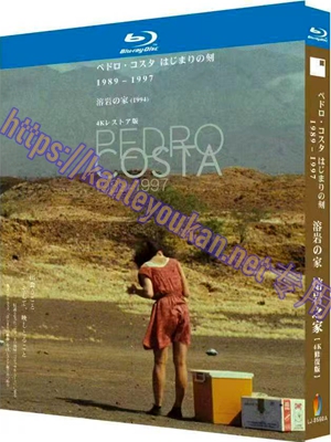 简LJ-8560A 熔岩之家/玛丽安娜的漫长等待/落入俗世（4K修复版）【BD】