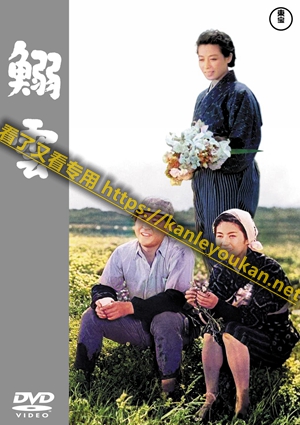 简TW-3956 鲱云