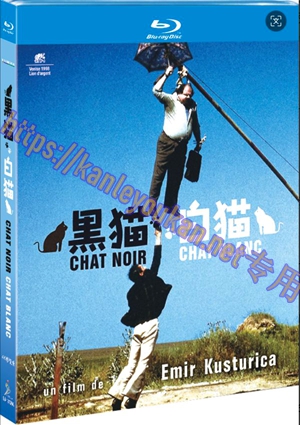 简SJ-13100A 黑猫白猫（4K修复版）【BD】