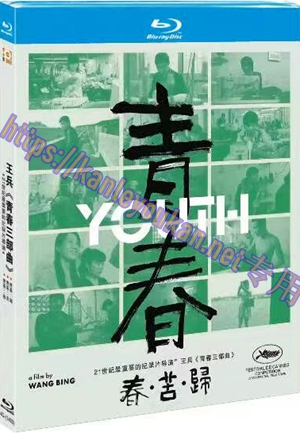 简4GBD25（1439） 21世纪最重要的纪录片导演：王兵《青春三部曲》 (3碟）