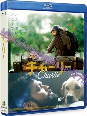 简SJ-13138A 777查理【BD】