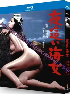 简LJ-7623A 偷情的海女/下流的海女【BD】