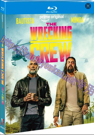 简NF-02574  特工迷阵