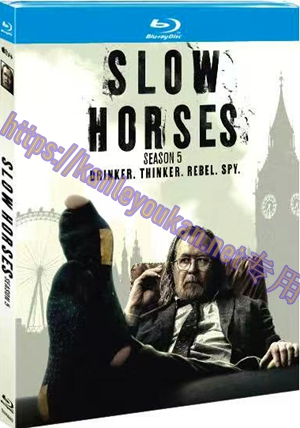 简TM-R4402 流人 第五季（2碟）