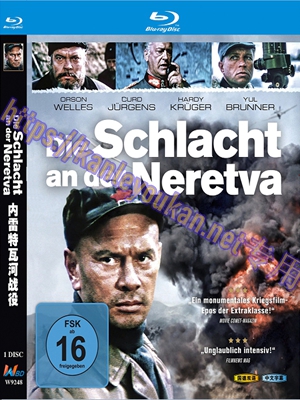 简W9248 内雷特瓦河战役