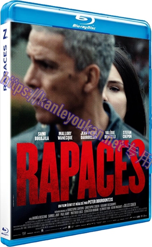 简SJ-17252 鸷鸟盘桓【BD】