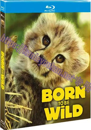 简TM-R0920G 生而狂野 （2碟）