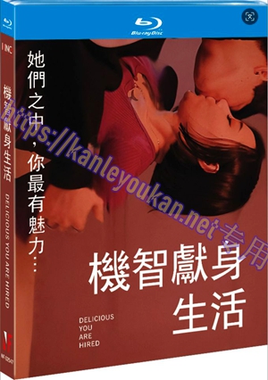 简NF-02547 机智献身生活