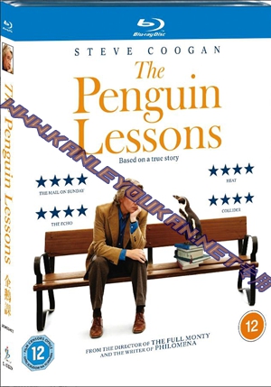 简SJ-12637A 企鹅课【BD】