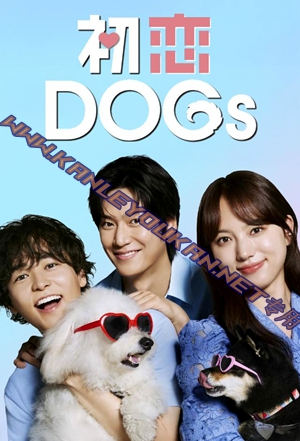 简LG-R5564 初恋DOGs（2BD）（有精装）