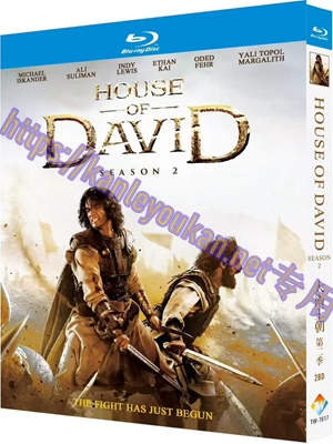 简TW-7617 大卫王朝 第二季（2碟）