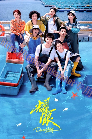 简LG-G6477 耀眼【TV全集+幕后花絮】（3BD）（有精装）