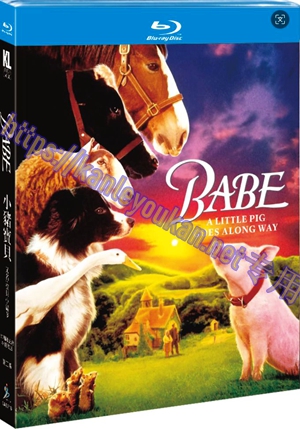 简SJ-2571B 小猪宝贝/宝贝小猪唛（30周年纪念4K修复版）（第二版）【BD】
