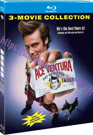 简4GBD25（1136）神探飞机头(1&2&3)（3碟）