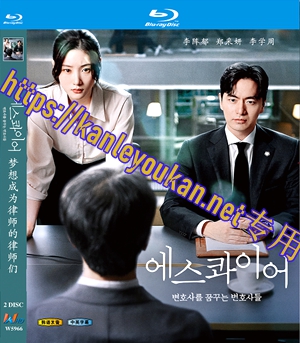 简W5966 梦想成为律师的律师们 2碟