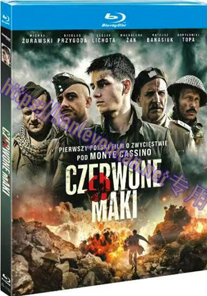 简4GBD25（1193） 浴血卡西诺